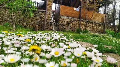 Къщи за гости Голец