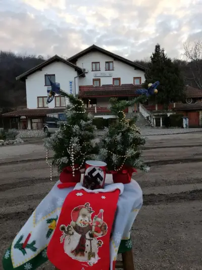Павлолес - Производство и продажба на палета