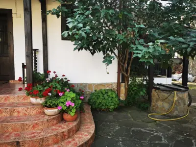 Oazis Guesthouse
