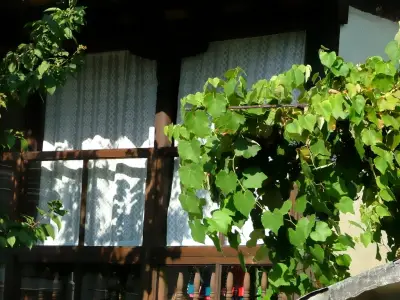 The Tinkov house in Lovech