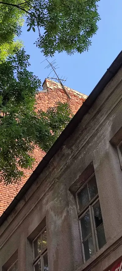 Фото Снежолина ООД