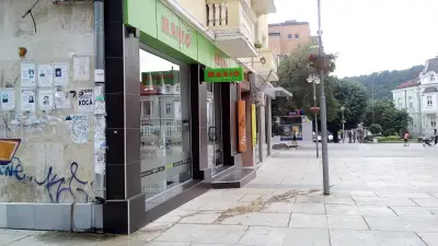 Фото Стария бряст
