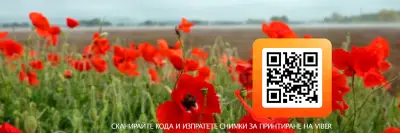KODAK ФОТО АЛЕКО