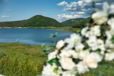 Atanas Atanasov - Photo & Video