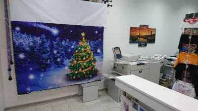 IQ studio