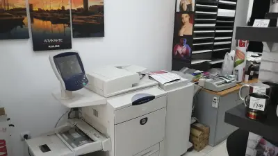 IQ studio