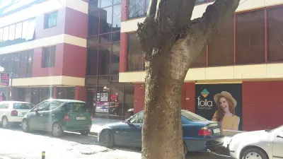 Йога Сарасвати Варна