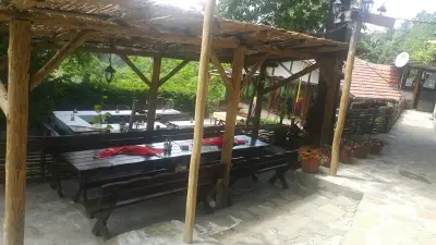 Горско ханче