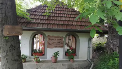 Горско ханче