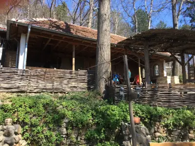 Горско ханче
