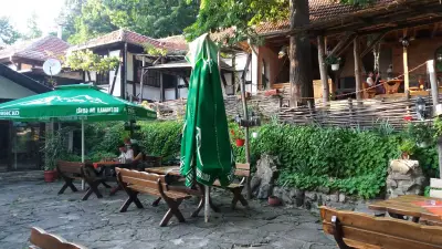 Горско ханче