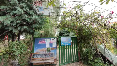 Мак Дак