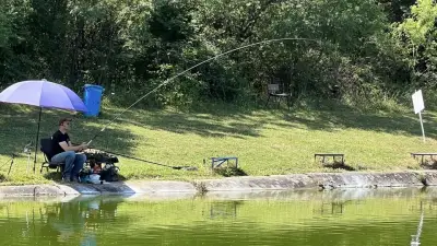Рибарник Тwitch fishing