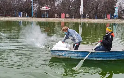 Рибарник Тwitch fishing