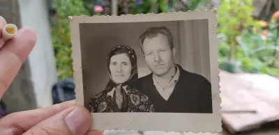 ДДС Паламара