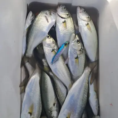 ,,Риболовен магазин BLUЕFISH"