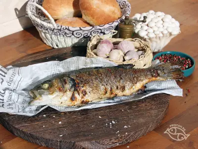 PRISTAN.bg