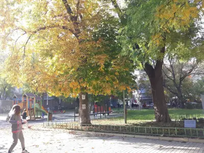 Ботева градина
