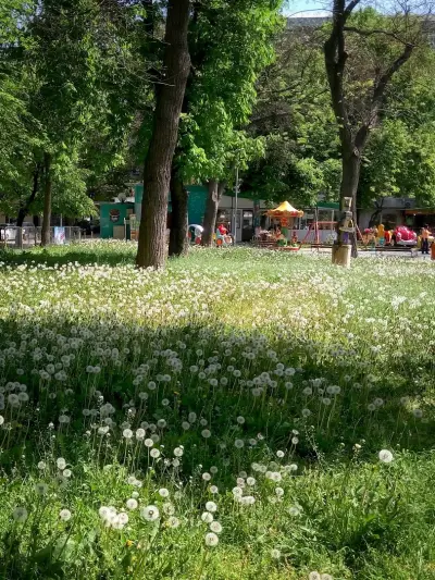 Ботева градина
