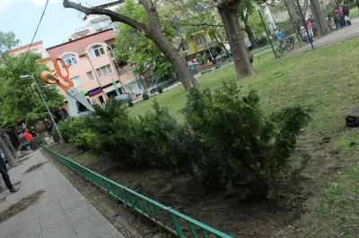 Ботева градина