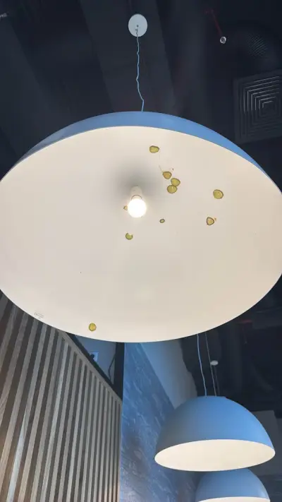 Hesburger Плевен