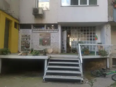 Керамика Зари
