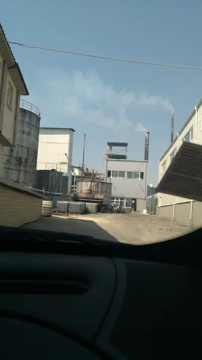 ОЛИВА