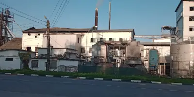 ОЛИВА