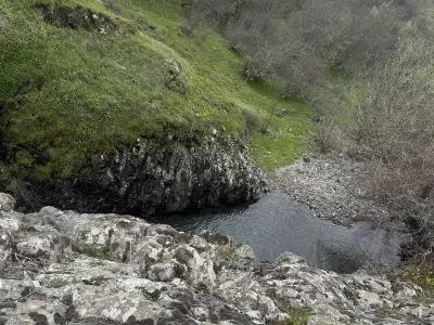 Кравеферма Върбица Милк