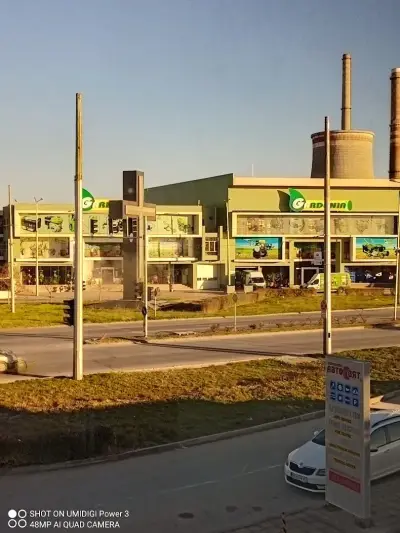 Гардения Антана
