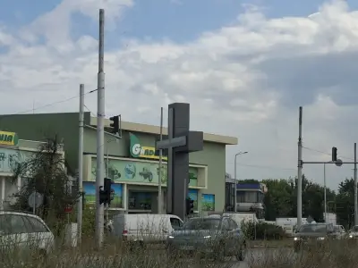 Гардения Антана