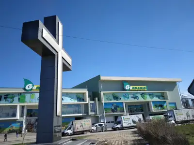 Гардения Антана