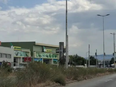 Гардения Антана