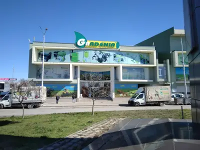 Гардения Антана