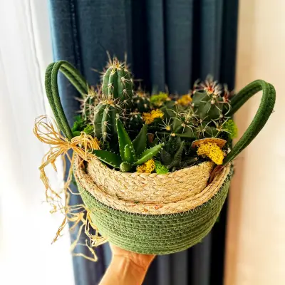 Albertina's flowers