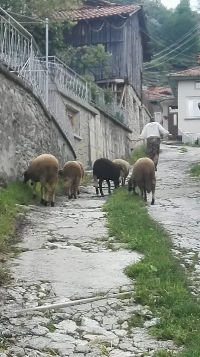 Кържелицки камък