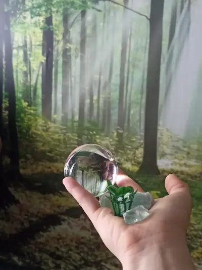 FoRest |Wellness & Relax|