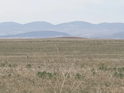 Паркинг