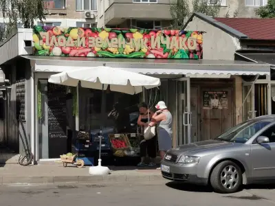 Зеленчукова борса