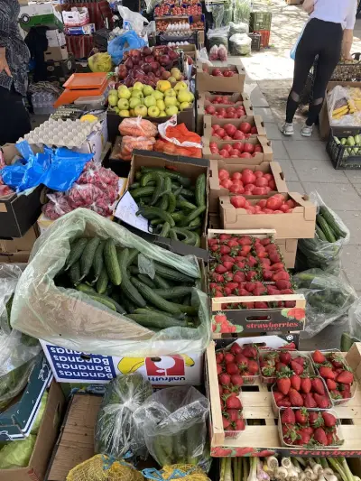 Зеленчукова борса