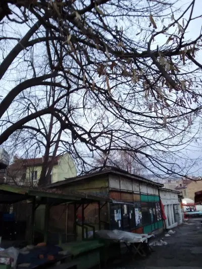 ПАЗАРИ АД