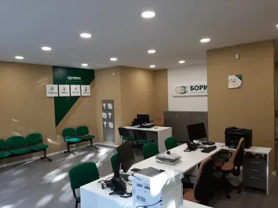 БОРИКА АД