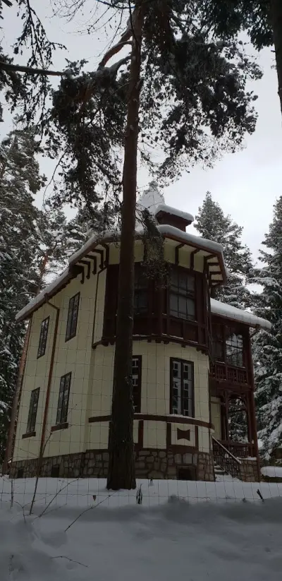 ВПД Боровец