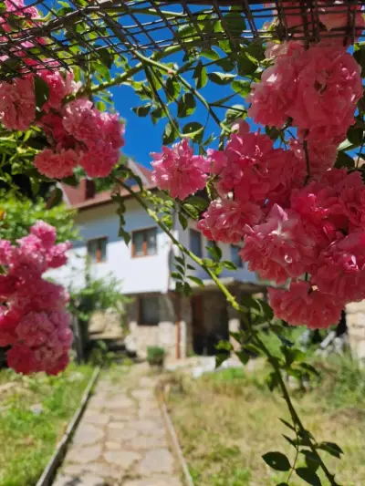 Вила Кадев