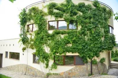 Nest.bg