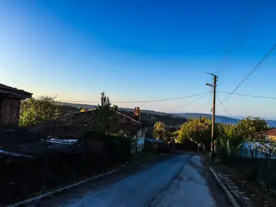 Шереметя