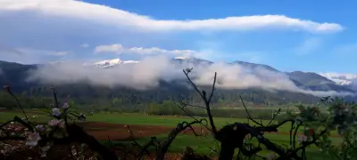 Ергини