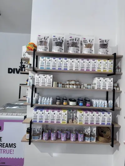 Divus Foods