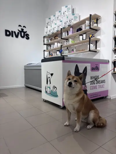 Divus Foods