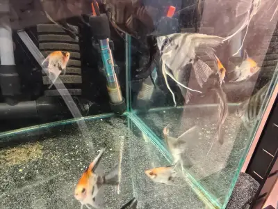 Зоомагазин Animal world